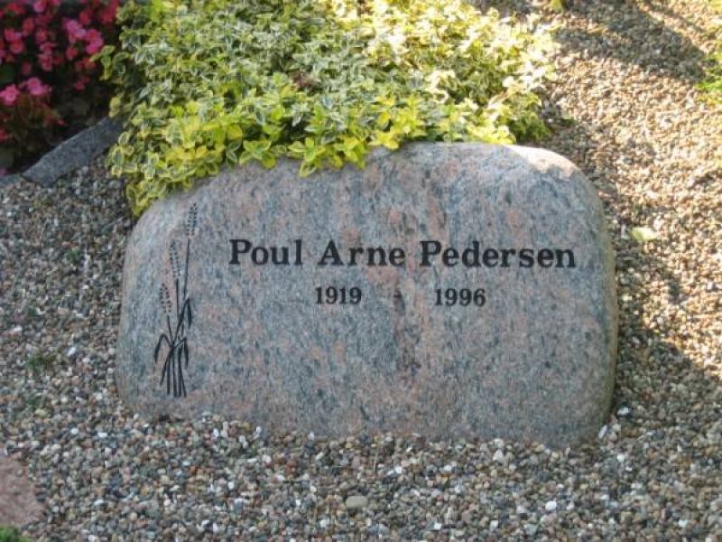 Poul Arne Pedersen.jpg